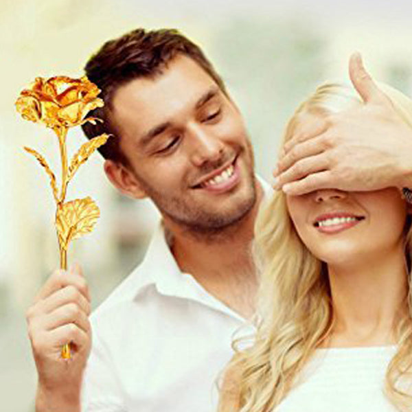 Duck Climb Stairs Toy